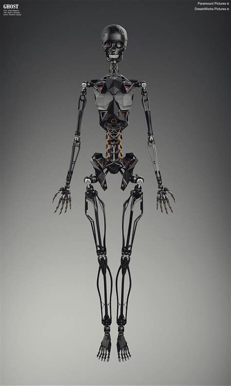 skeleton concept